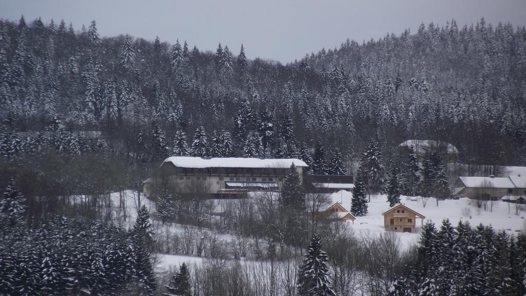 Hotel Le Grand Chalet Foncine-le-Haut Екстериор снимка