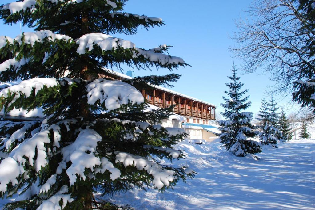 Hotel Le Grand Chalet Foncine-le-Haut Екстериор снимка